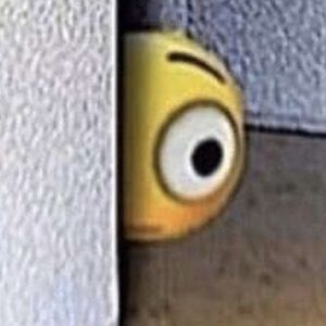 Meet your Posher, Rayj